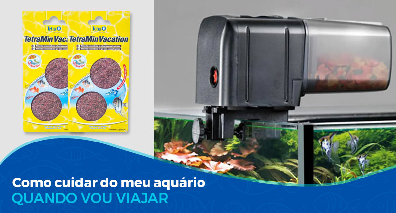 Como cuidar do meu aquário quando vou viajar?