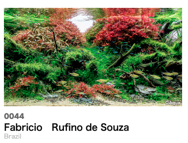 Tudo sobre o IAPLC (Aquatic Plants Layout Contest)